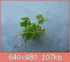         

:  DSCN1445.JPG
:  579
:  106,9 KB