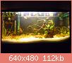         

:  DSCN1478.JPG
:  695
:  112,2 KB