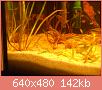         

:  DSCN1488.JPG
:  548
:  142,3 KB