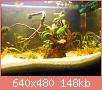        

:  DSCN1490.JPG
:  629
:  148,2 KB