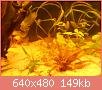         

:  DSCN1491.JPG
:  539
:  148,9 KB