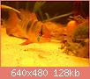         

:  DSCN1504.JPG
:  533
:  127,8 KB