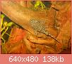         

:  DSCN1497.JPG
:  501
:  138,1 KB