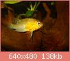         

:  DSCN1483.JPG
:  538
:  137,7 KB