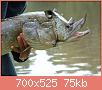         

:  funny_20fish.jpg
:  340
:  74,5 KB