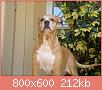         

:  DSC00026.JPG
:  289
:  211,9 KB