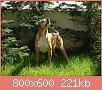         

:  DSC00032.JPG
:  363
:  221,2 KB
