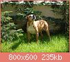         

:  DSC00033.JPG
:  426
:  234,7 KB