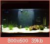         

:  DSC01979.jpg
:  393
:  39,0 KB