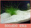         

:  DSC01980.jpg
:  372
:  48,6 KB