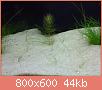         

:  DSC01981.jpg
:  339
:  43,6 KB