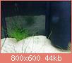         

:  DSC01982.jpg
:  315
:  43,7 KB