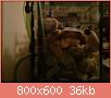         

:  DSC01879.jpg
:  392
:  35,9 KB