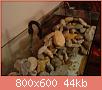        

:  DSC01880.jpg
:  376
:  44,4 KB