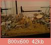         

:  DSC01882.jpg
:  412
:  42,3 KB