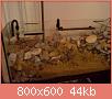         

:  DSC01883.jpg
:  393
:  43,5 KB