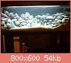         

:  DSC01886.jpg
:  459
:  54,1 KB