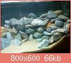         

:  DSC01887.jpg
:  407
:  65,7 KB