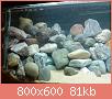         

:  DSC01888.jpg
:  390
:  81,4 KB