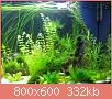         

:  1210photo3.jpg
:  315
:  332,1 KB