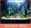         

:  DSC00718.jpg
:  554
:  65,6 KB
