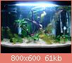         

:  DSC00736.jpg
:  452
:  60,7 KB