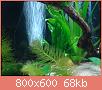         

:  DSC00729.jpg
:  403
:  67,9 KB