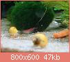         

:  DSC00731.jpg
:  409
:  46,7 KB