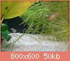         

:  DSC00734.jpg
:  421
:  50,2 KB