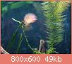         

:  DSC00735.jpg
:  423
:  49,4 KB