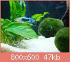         

:  DSC00685.jpg
:  417
:  47,1 KB