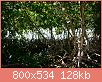         

:  _MG_7758.jpg
:  424
:  127,8 KB