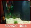         

:  DSC00739.jpg
:  252
:  46,2 KB