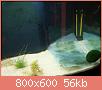         

:  DSC00740.jpg
:  249
:  56,2 KB