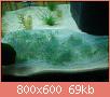         

:  DSC00741.jpg
:  257
:  68,9 KB