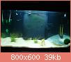         

:  DSC00742.jpg
:  231
:  39,5 KB