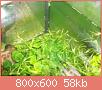         

:  100_0930.jpg
:  313
:  58,1 KB