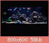         

:  reef2.JPG
:  579
:  58,4 KB
