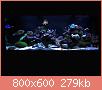         

:  reef4.JPG
:  510
:  279,0 KB