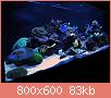         

:  reef5.JPG
:  531
:  82,8 KB
