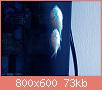         

:  chromis1.JPG
:  326
:  73,3 KB