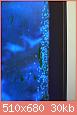         

:  chromis3.jpg
:  333
:  29,8 KB