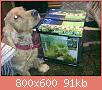         

:  29122010086.jpg
:  417
:  91,4 KB