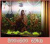         

:  DSC00798.jpg
:  503
:  69,1 KB