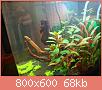        

:  DSC00801.jpg
:  449
:  68,1 KB