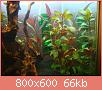         

:  DSC00802.jpg
:  454
:  65,9 KB