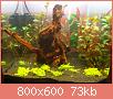         

:  DSC00803.jpg
:  433
:  73,3 KB