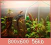         

:  DSC00804.jpg
:  412
:  56,1 KB