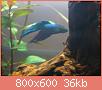         

:  DSC00812.jpg
:  361
:  36,2 KB