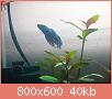         

:  DSC00816.jpg
:  357
:  40,2 KB